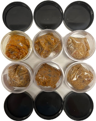 Celestial Amber Resin, 30 grams Jar (Single Unit)