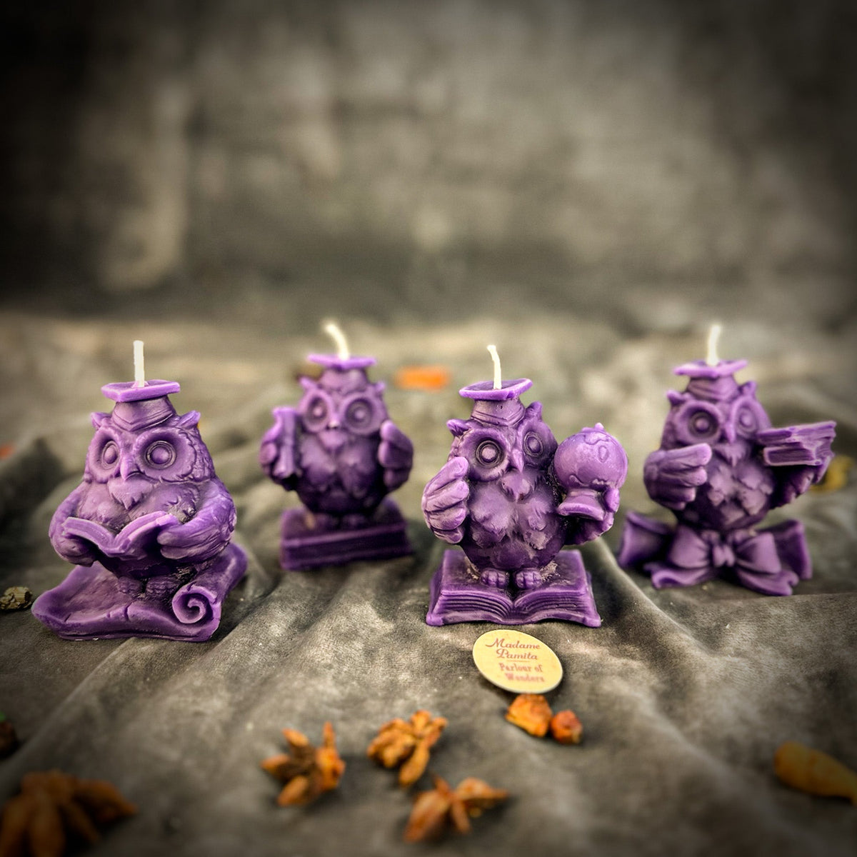 School of Owls Candle Spell Kit - Academic Success & Wisdom