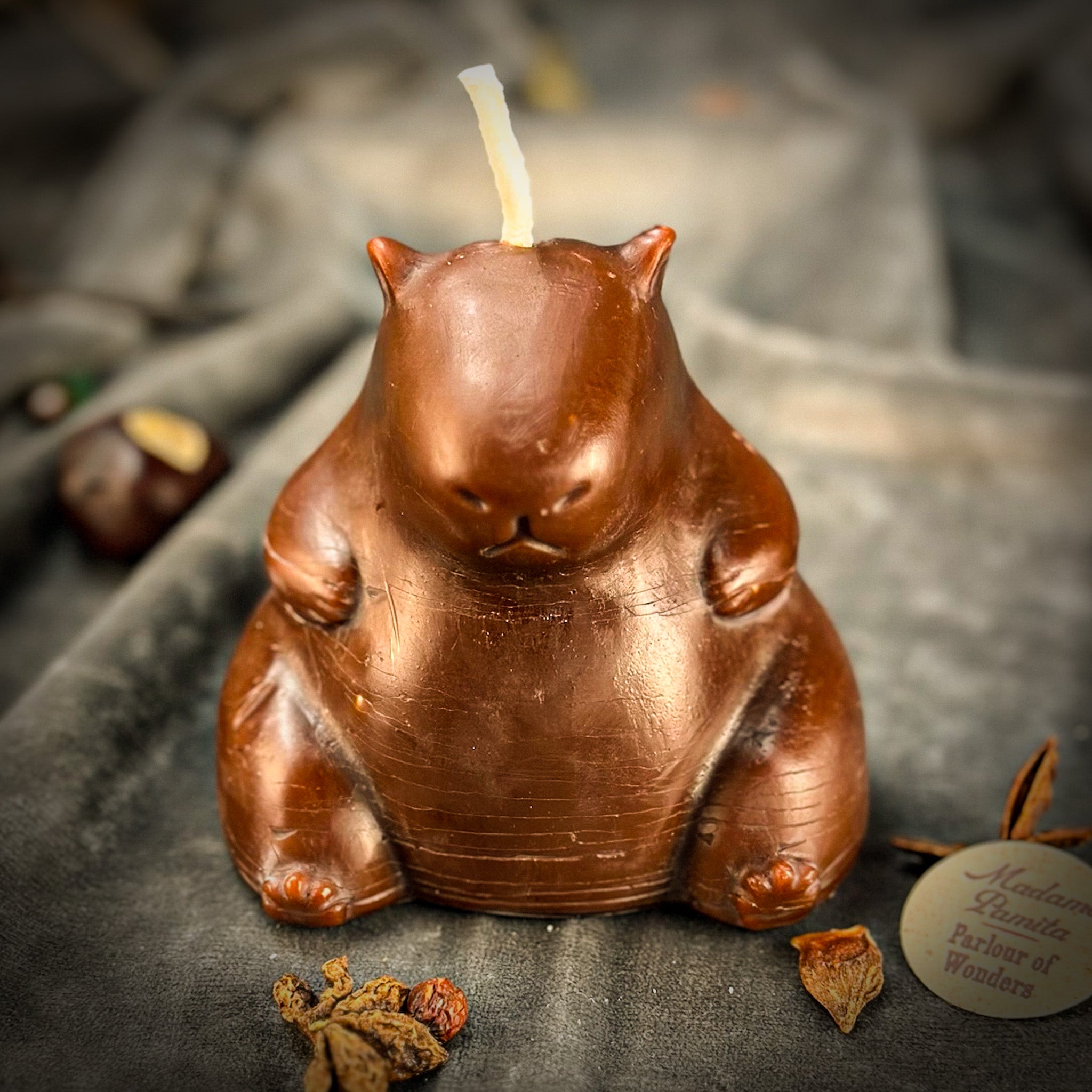 Cuddly Capybara Cooperation Candle Spell Kit - Harmony & Teamwork